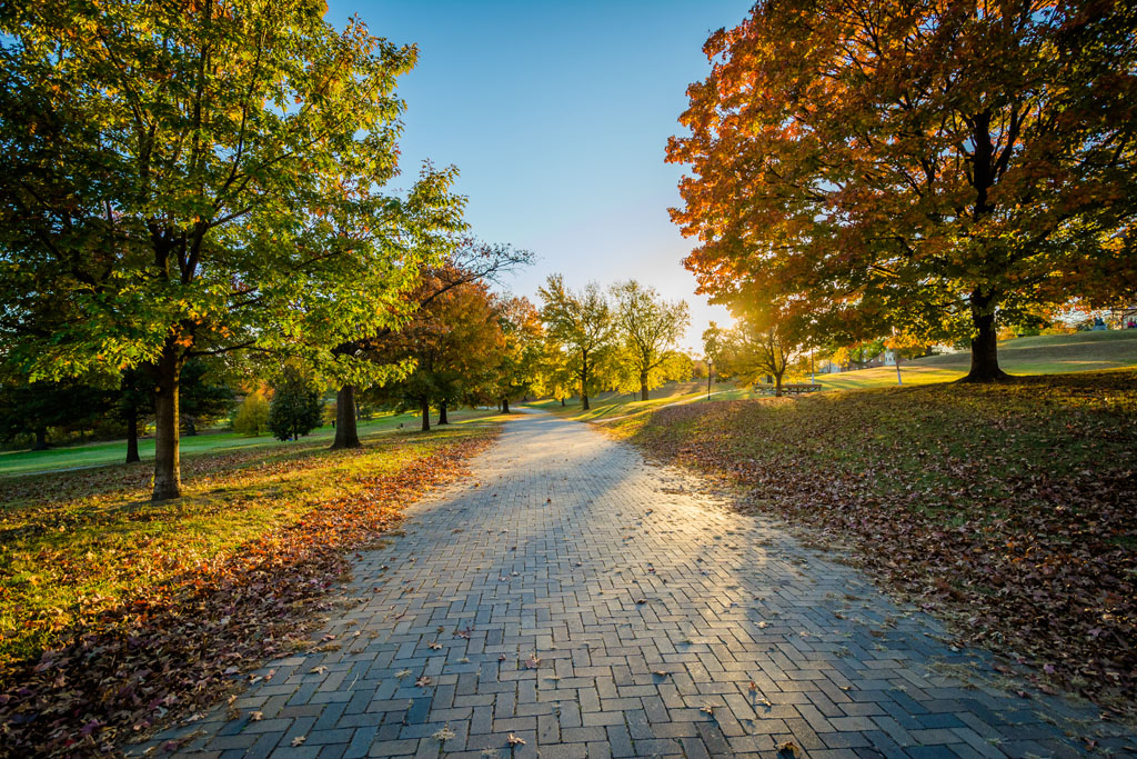 Green urban park