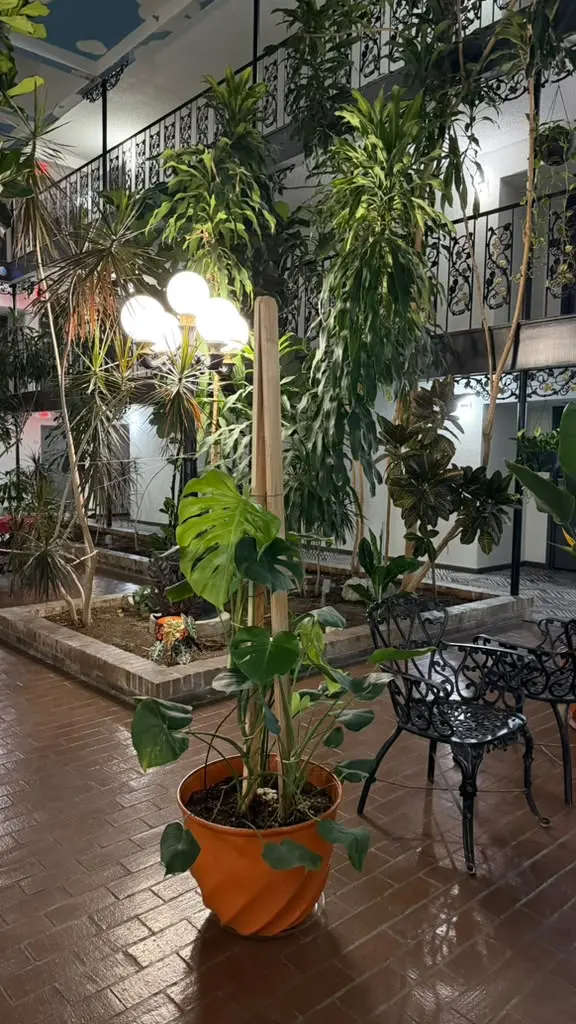 Indoor atrium garden and seating