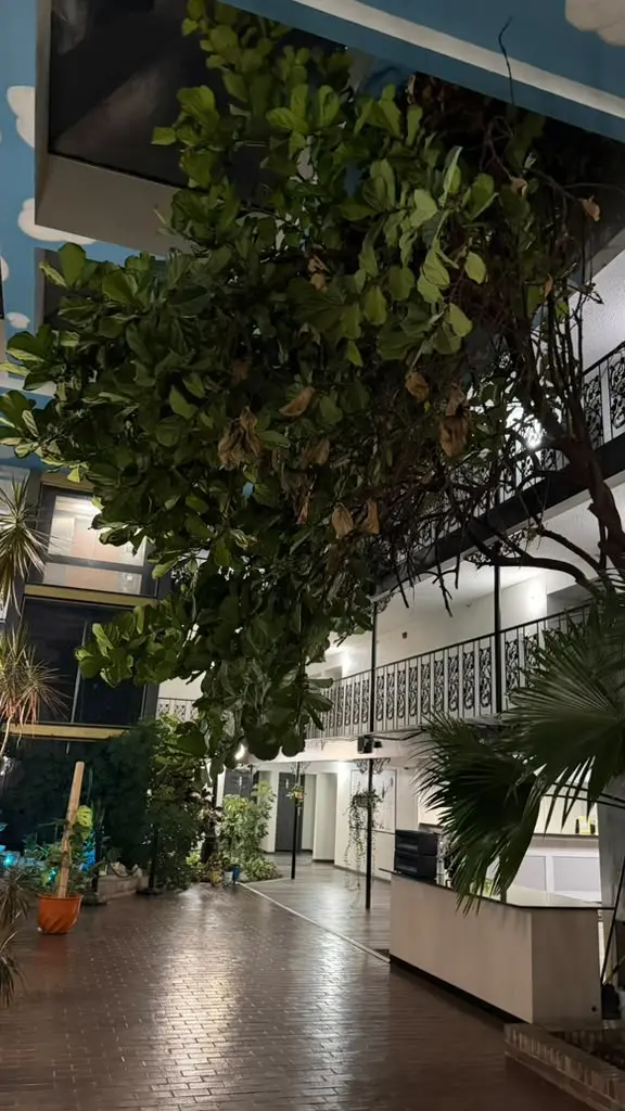 Hotel atrium walkway and upper balconies