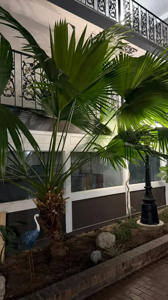 Palm trees in the hotel atrium