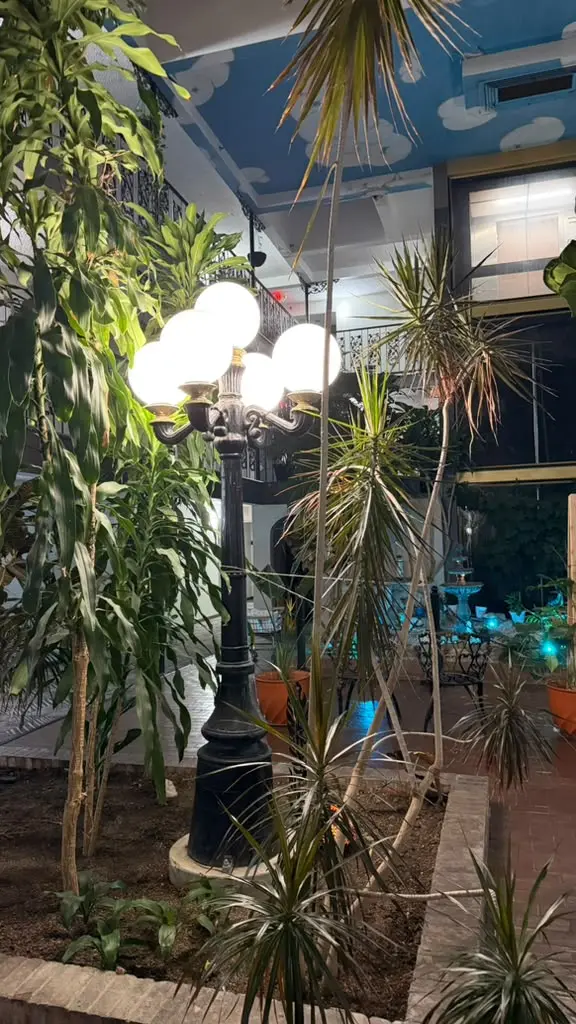 Indoor garden with decorative lighting