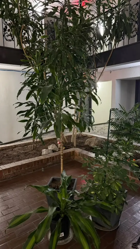 Atrium garden planters