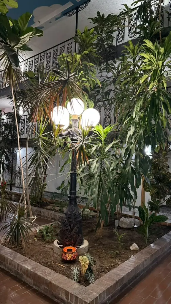 Hotel atrium landscaping