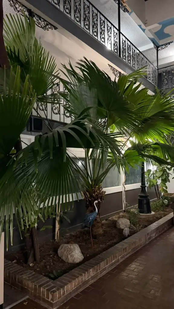Palm garden inside Garden Cove Hotel Suites