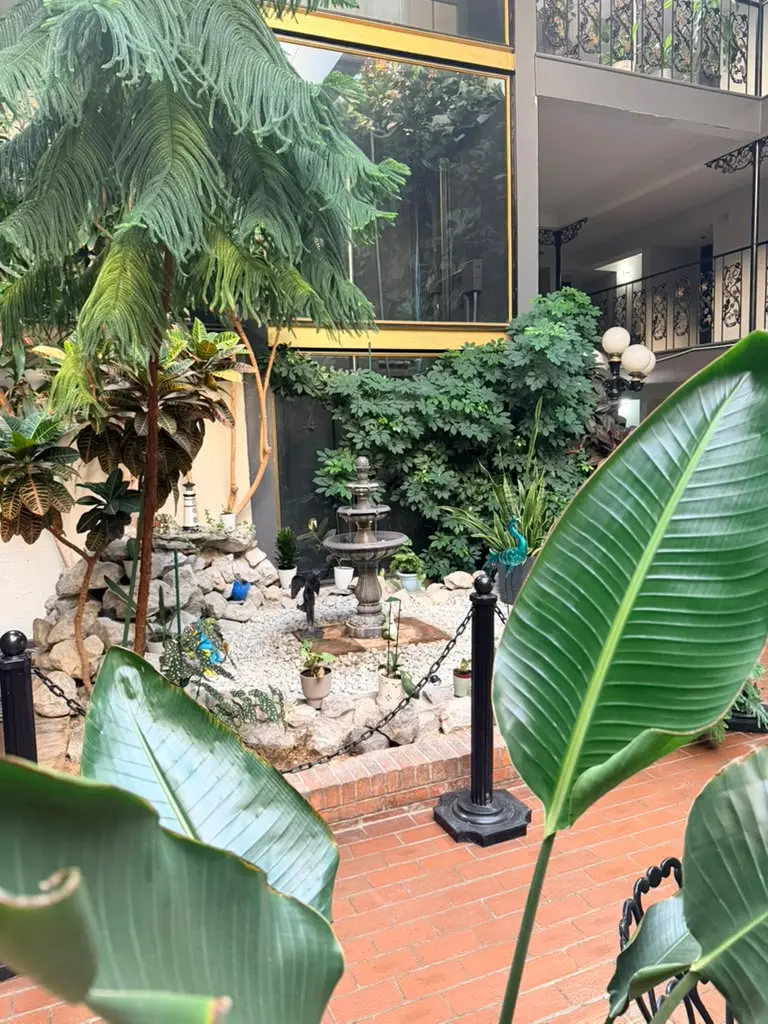 Atrium fountain and tropical foliage