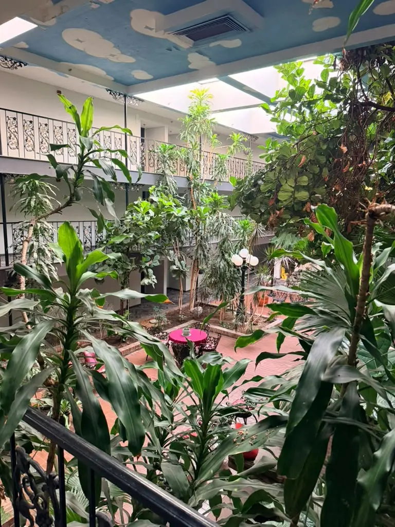 Garden Cove Hotel Suites indoor atrium