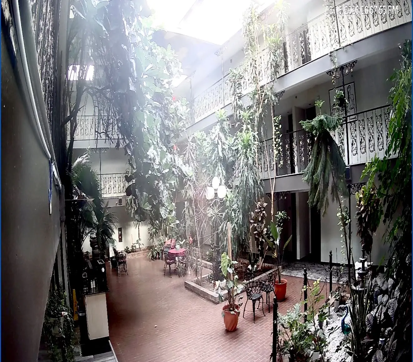 Garden atrium seating and greenery